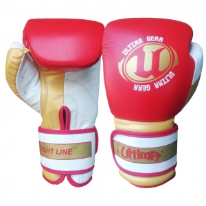 BOXING GLOVES 2019-2018-2