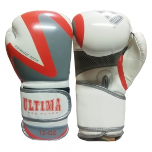 BOXING GLOVES 2019-2018-3