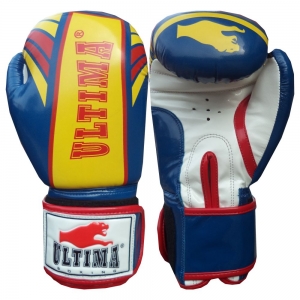 BOXING GLOVES 2019-2018-4