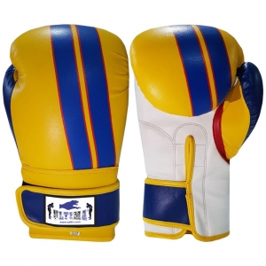 BOXING GLOVES 2019-2019-2