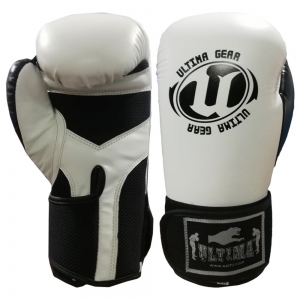 BOXING GLOVES 2019-2019-4-4